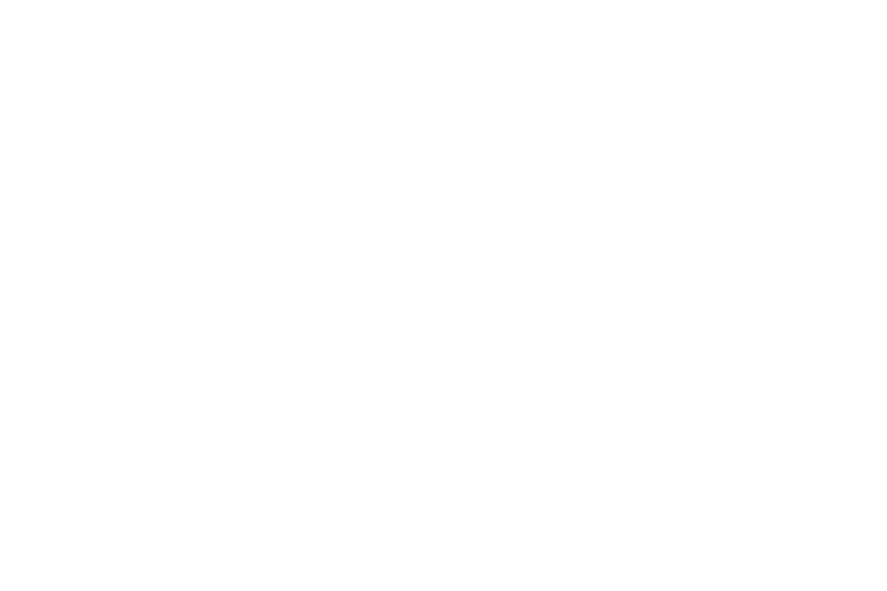 Official Akamai Logo on Transparent Background